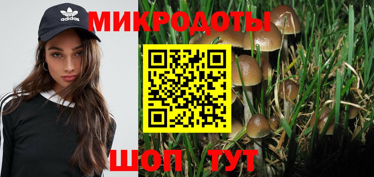 Псилоцибиновые грибы MAGIC MUSHROOMS  Вход с VPN  купить закладку  Ефремов  Галлюциногенные грибы Psilocybe 
